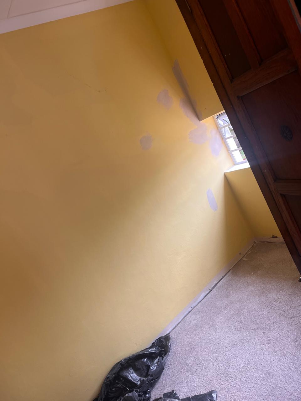 Interior wall painting in progress