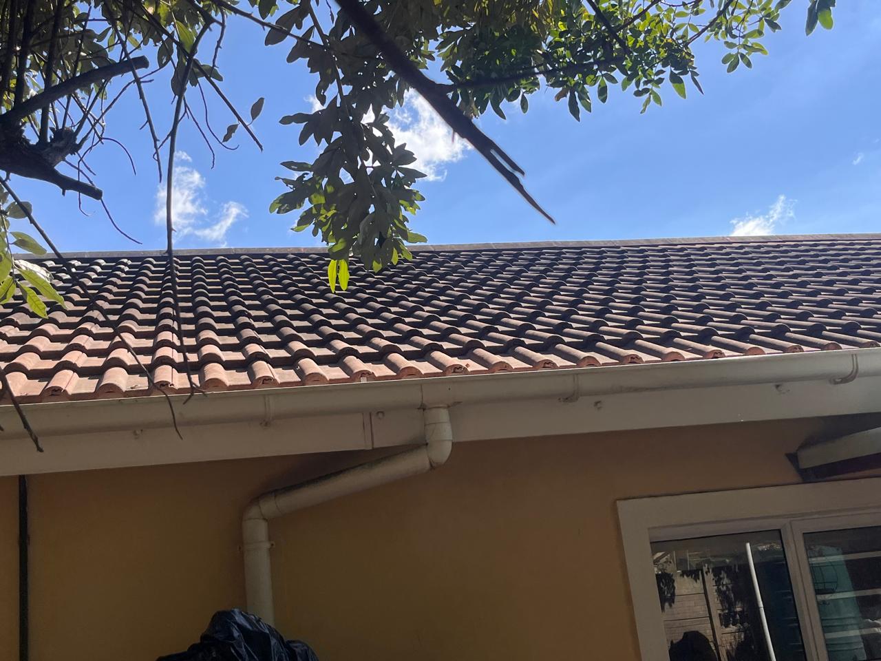 Tile roof before cleaning — moss and dark staining visible