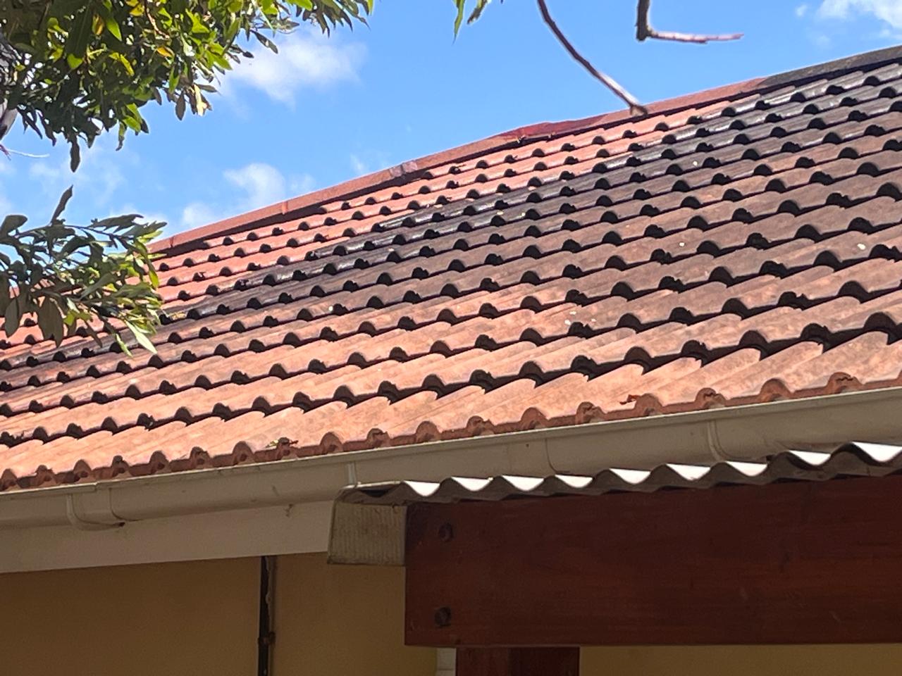 Roof before — heavy dirt and moss buildup on tiles