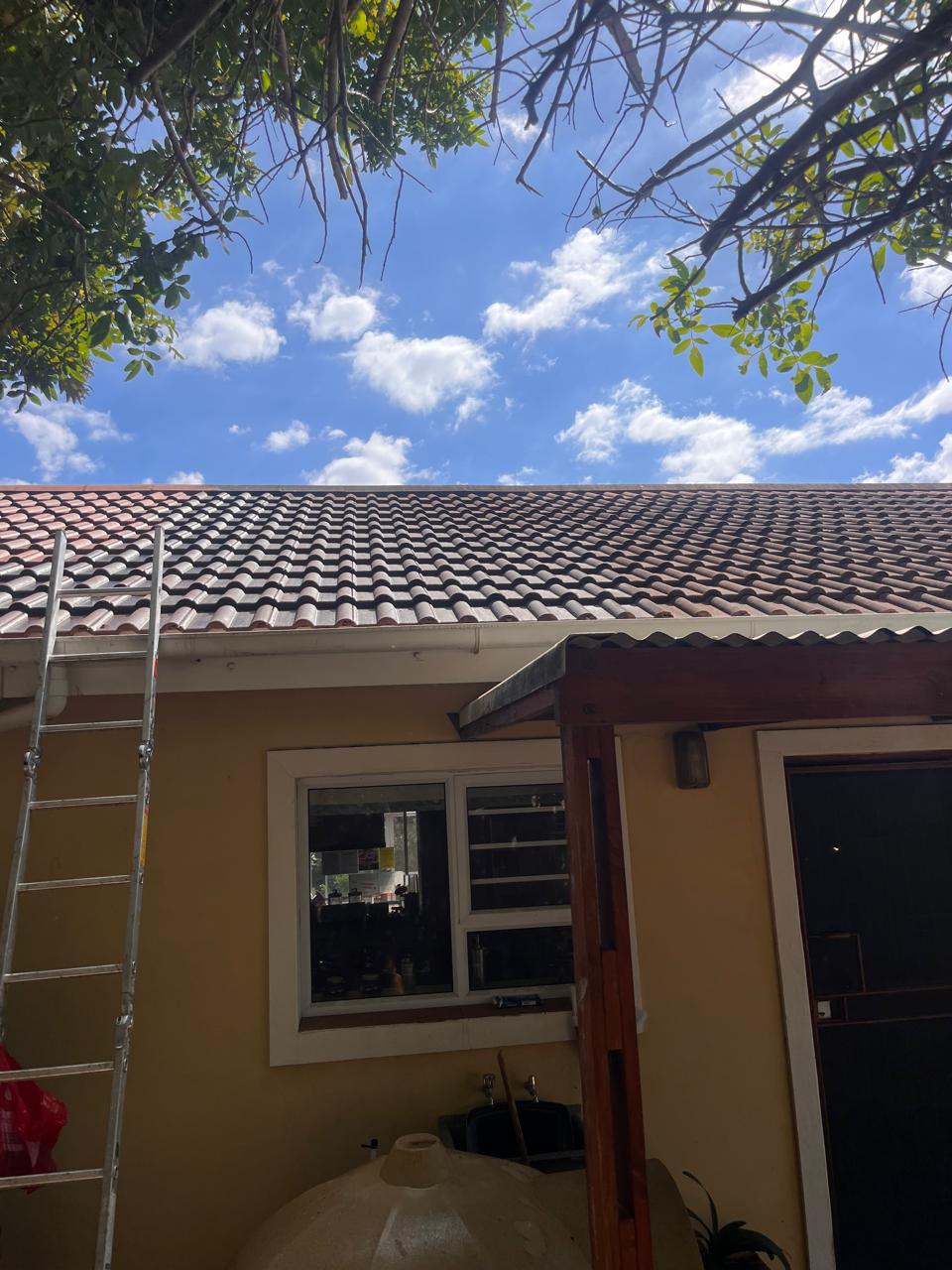 Roof cleaning on-site — ladder access, treatment underway