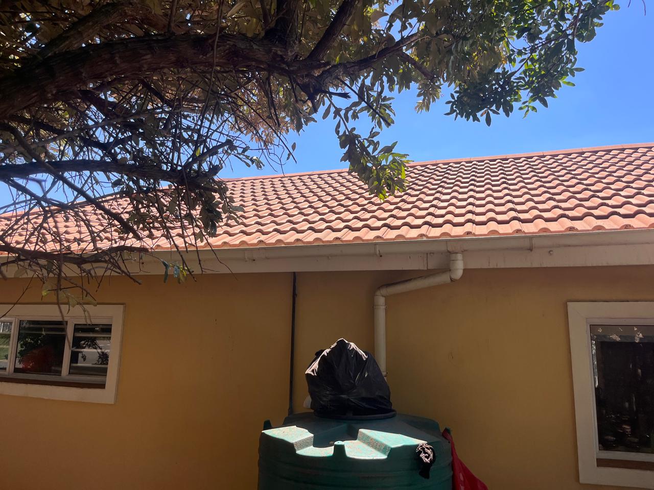 Completed tile roof — clean terracotta tiles after treatment